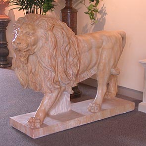 Lion Sentinel1